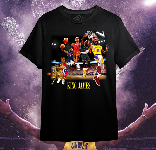 Lbj multi dunk tee